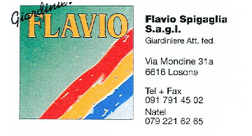 Flavio Spigaglia S.a.g.l., 6616 Losone, Tel. 091 791 45 02